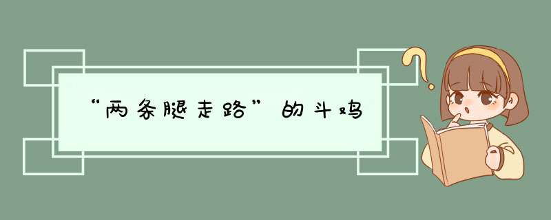 “两条腿走路”的斗鸡