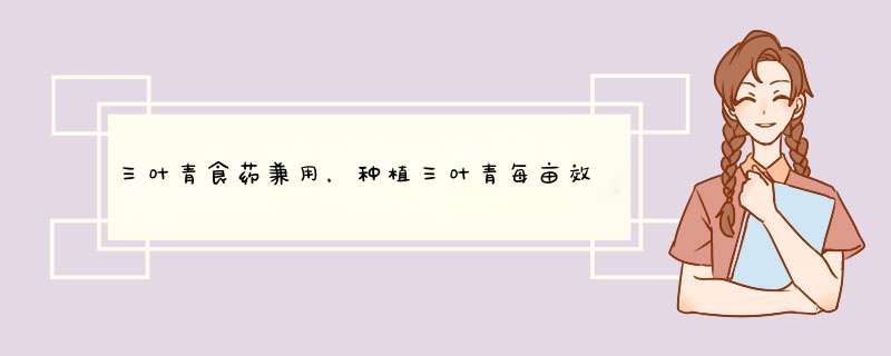 三叶青食药兼用，种植三叶青每亩效益能达50万,第1张