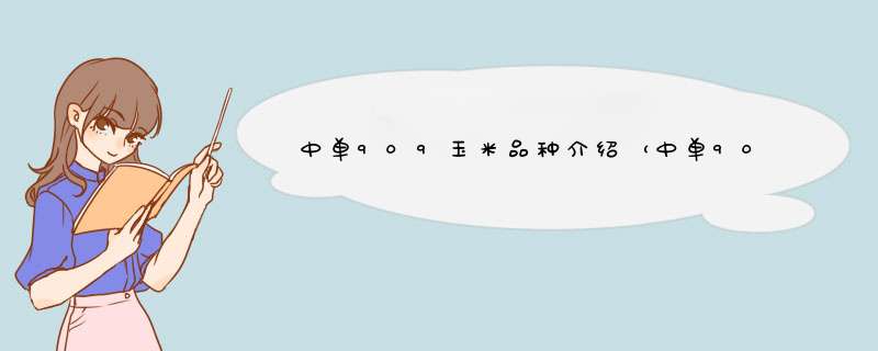 中单909玉米品种介绍（中单909玉米种子价格怎么样）,第1张