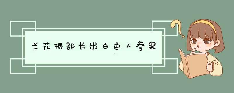 兰花根部长出白色人参果,第1张