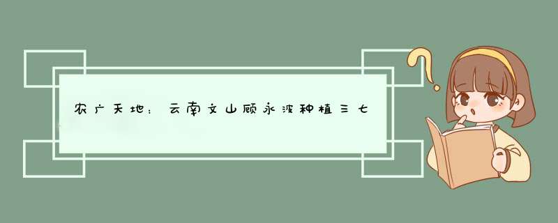 农广天地：云南文山顾永波种植三七创财富,第1张