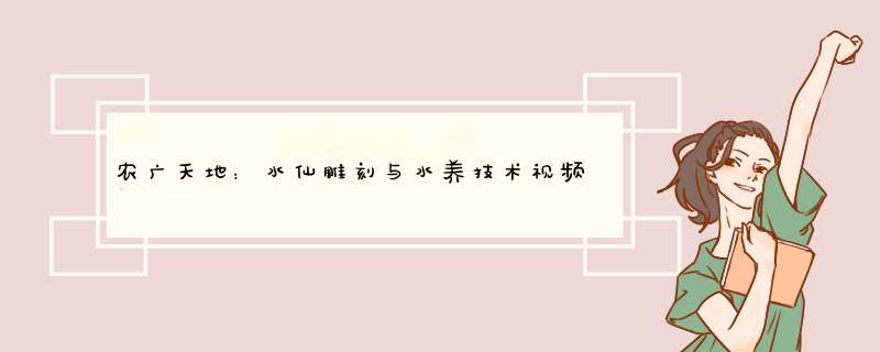 农广天地：水仙雕刻与水养技术视频,第1张