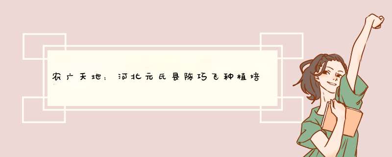 农广天地：河北元氏县陈巧飞种植培育红薯苗年入百万元,第1张