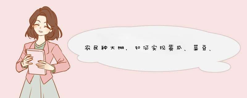 农民种大棚，如何实现黄瓜、菜豆、西芹、一年三熟栽培？,第1张