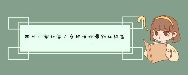 四川广安刘学广东种植柠檬创业致富,第1张