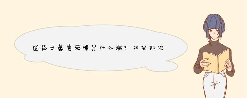 圆茄子萎蔫死棵是什么病？如何防治？,第1张