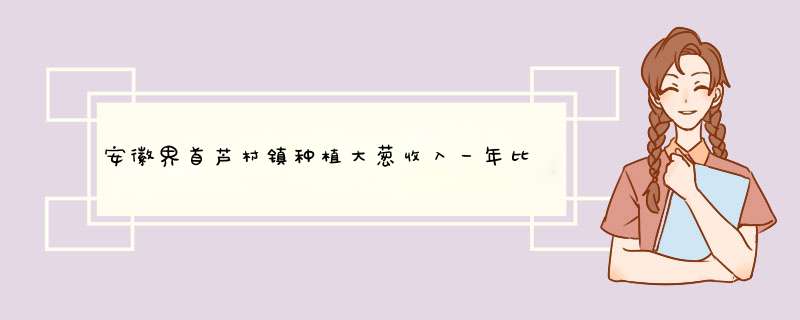 安徽界首芦村镇种植大葱收入一年比一年高,第1张