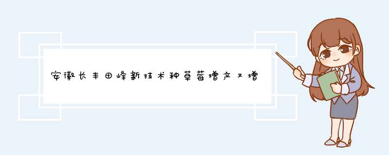 安徽长丰田峰新技术种草莓增产又增收,第1张