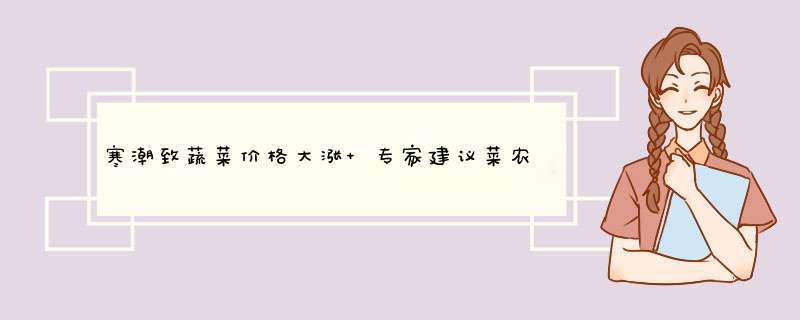 寒潮致蔬菜价格大涨 专家建议菜农关注天气 及时出售