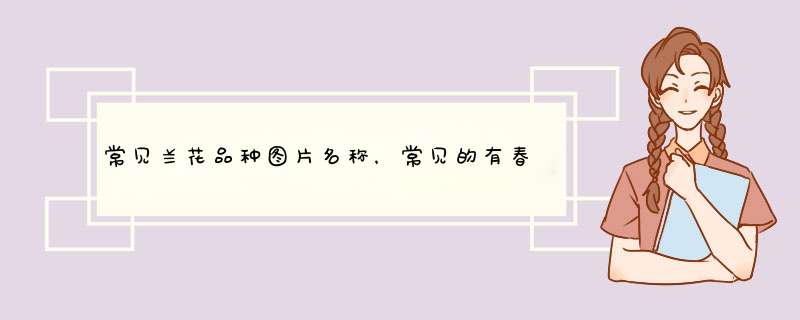 常见兰花品种图片名称，常见的有春兰、蕙兰以及建兰,第1张