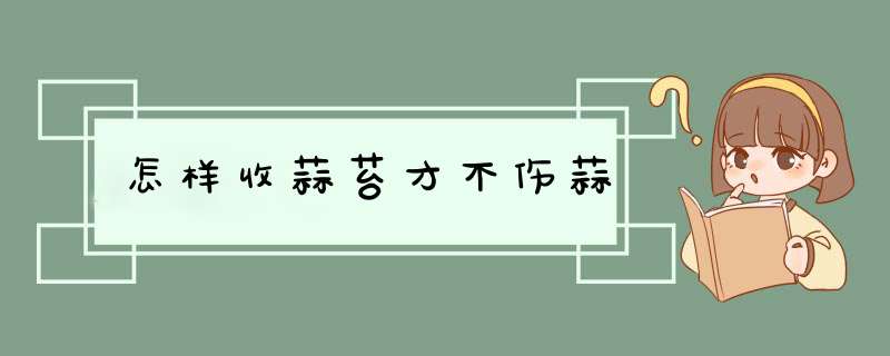 怎样收蒜苔才不伤蒜,第1张