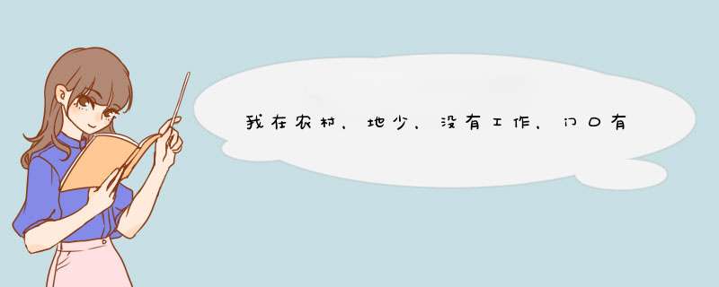 我在农村，地少，没有工作，门口有公路。可以做些什么好项目呢？,第1张