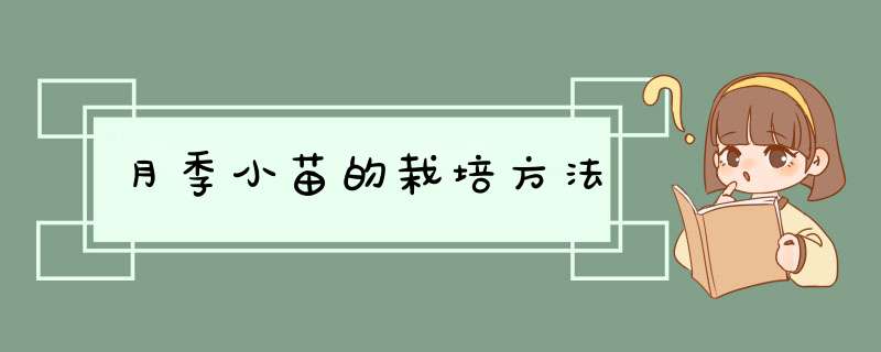 月季小苗的栽培方法,第1张