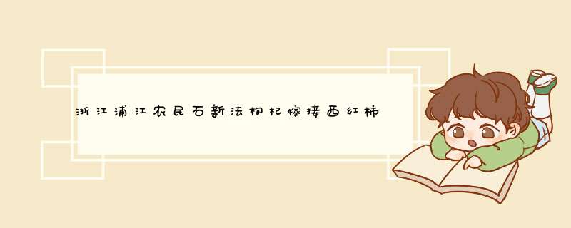 浙江浦江农民石新法枸杞嫁接西红柿效益好,第1张