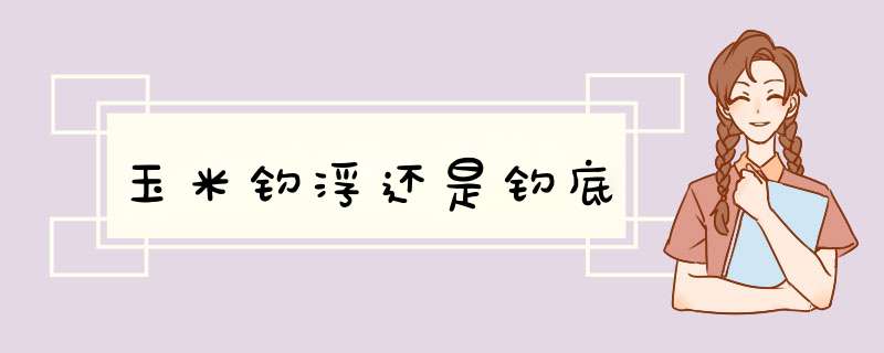 玉米钓浮还是钓底,第1张