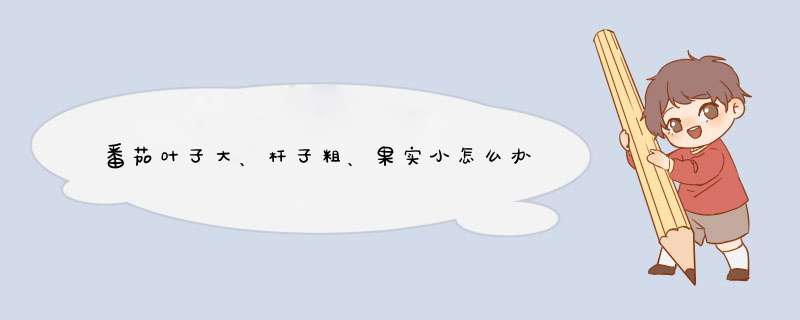 番茄叶子大、杆子粗、果实小怎么办？,第1张