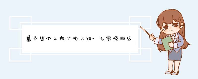 番茄集中上市价格大跌 专家预测后期行情难回暖,第1张