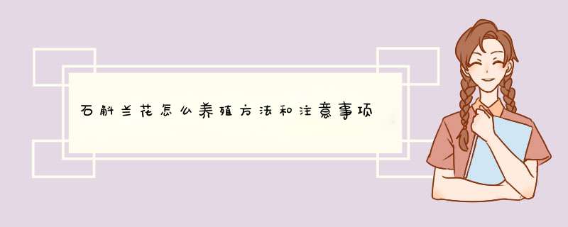 石斛兰花怎么养殖方法和注意事项