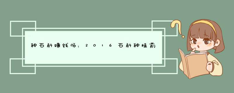 种石斛赚钱吗：2016石斛种植前景及行情分析,第1张