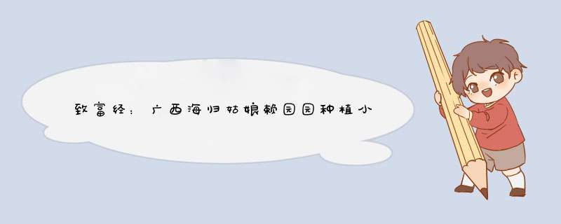 致富经：广西海归姑娘赖园园种植小金桔 5个字换来2500万