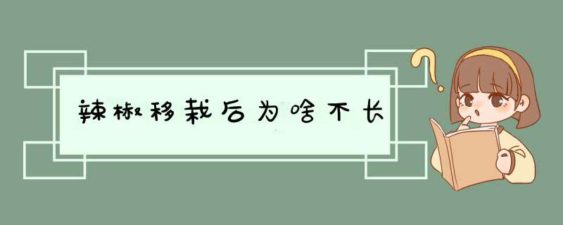 辣椒移栽后为啥不长,第1张