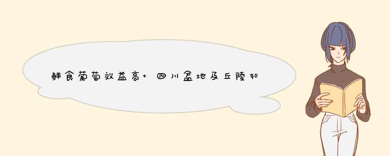 鲜食葡萄效益高 四川盆地及丘陵如何种植葡萄？,第1张