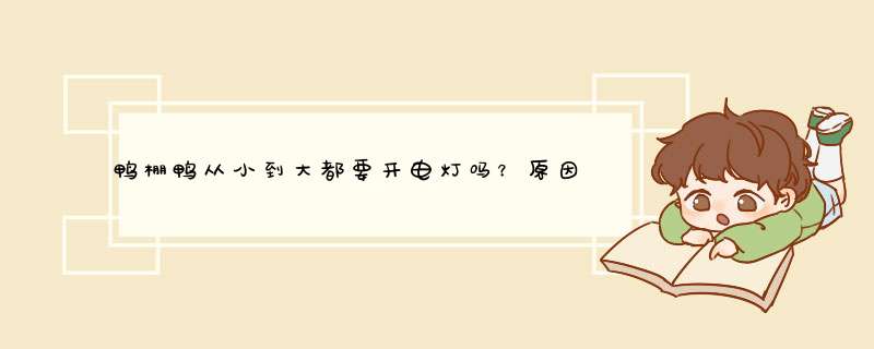 鸭棚鸭从小到大都要开电灯吗？原因是什么呢？,第1张