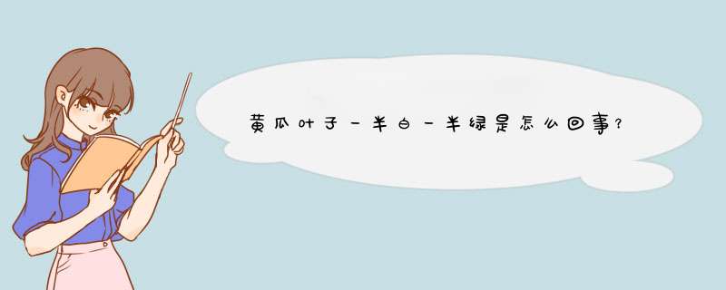 黄瓜叶子一半白一半绿是怎么回事？,第1张