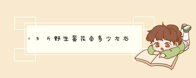 15斤野生黄花鱼多少左右,第1张