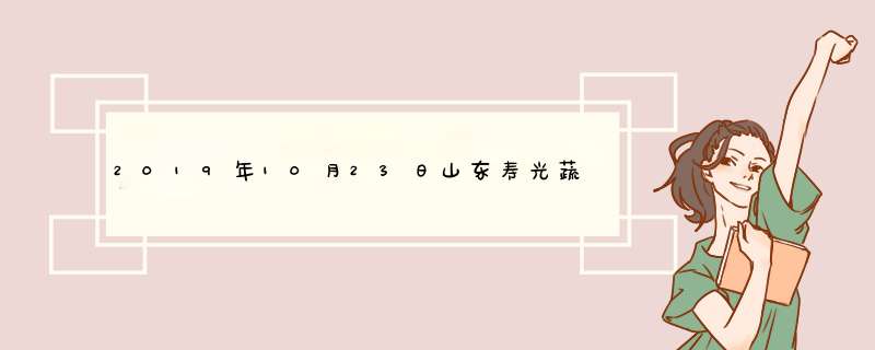 2019年10月23日山东寿光蔬菜价格行情