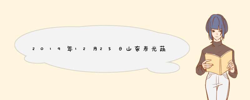 2019年12月23日山东寿光蔬菜价格行情