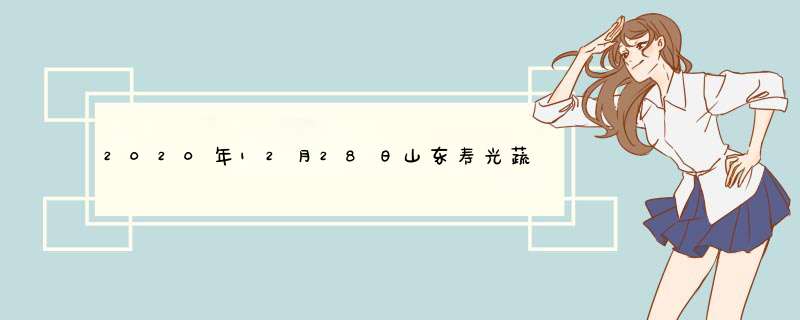 2020年12月28日山东寿光蔬菜价格行情,第1张