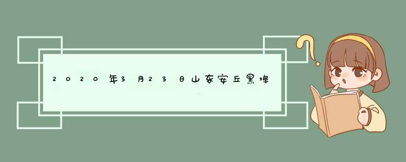 2020年3月23日山东安丘黑埠子市场生姜价格,第1张