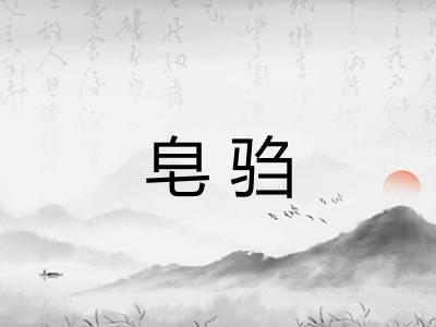 皂驺