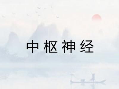 中枢神经