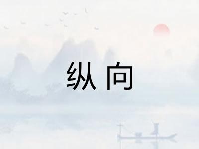 纵向