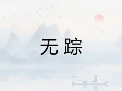 无踪