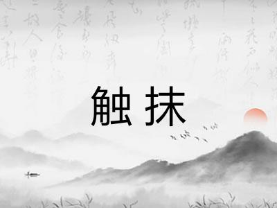 触抹