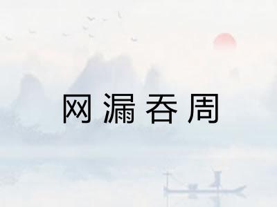 网漏吞周