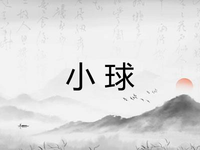 小球