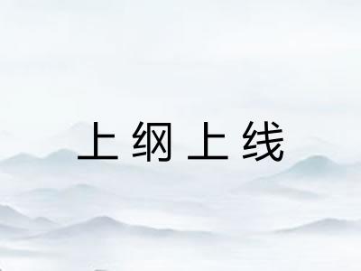 上纲上线