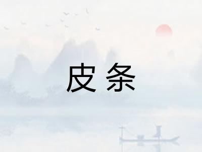 皮条