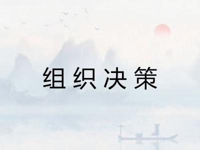 组织决策