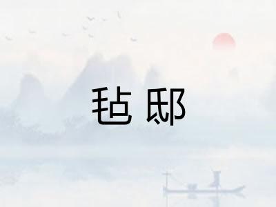 毡邸