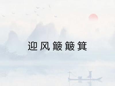 迎风簸簸箕