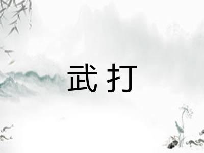 武打