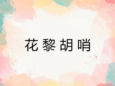 花黎胡哨