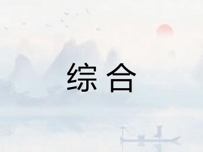 综合