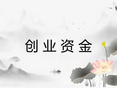 创业资金