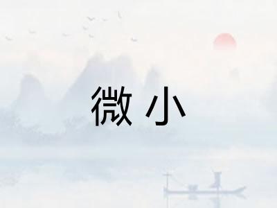 微小